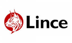 Lince